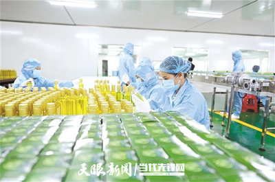 貴州油茶: 精深加工突圍 帶動(dòng)全產(chǎn)業(yè)鏈升級