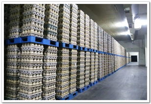 投入真金白銀 帶動(dòng)產(chǎn)興業(yè)旺