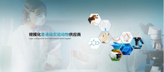 恭喜上海甲干生物科技中標蘇州大學實驗動物供應商
